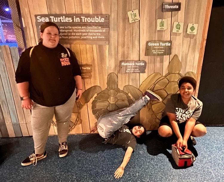 Sea Life aquarium trip