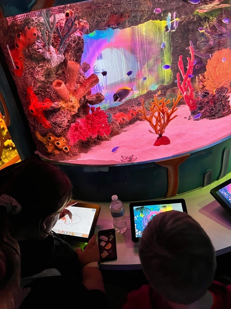 Sea Life aquarium trip