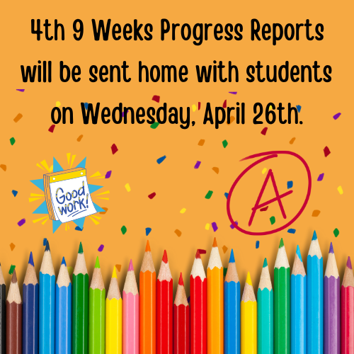 Progress Reports