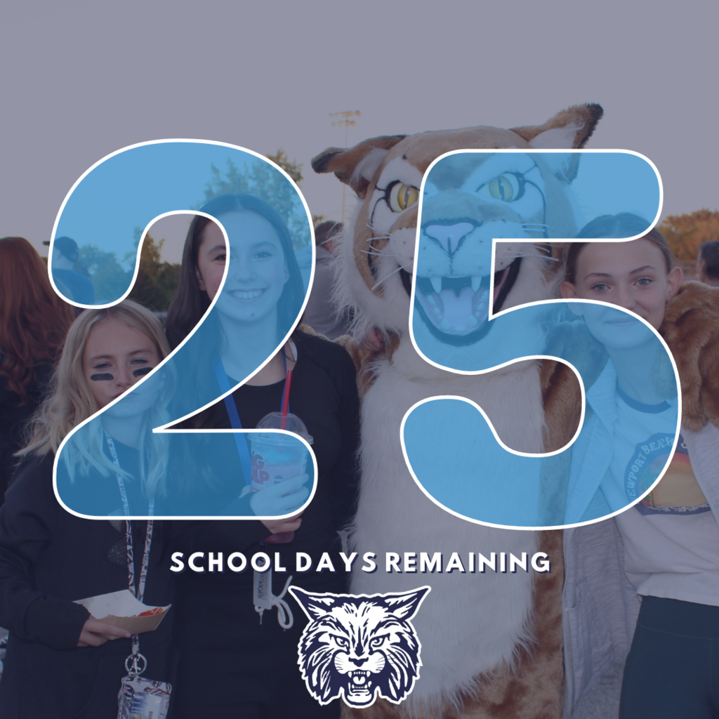 25 school days reamining