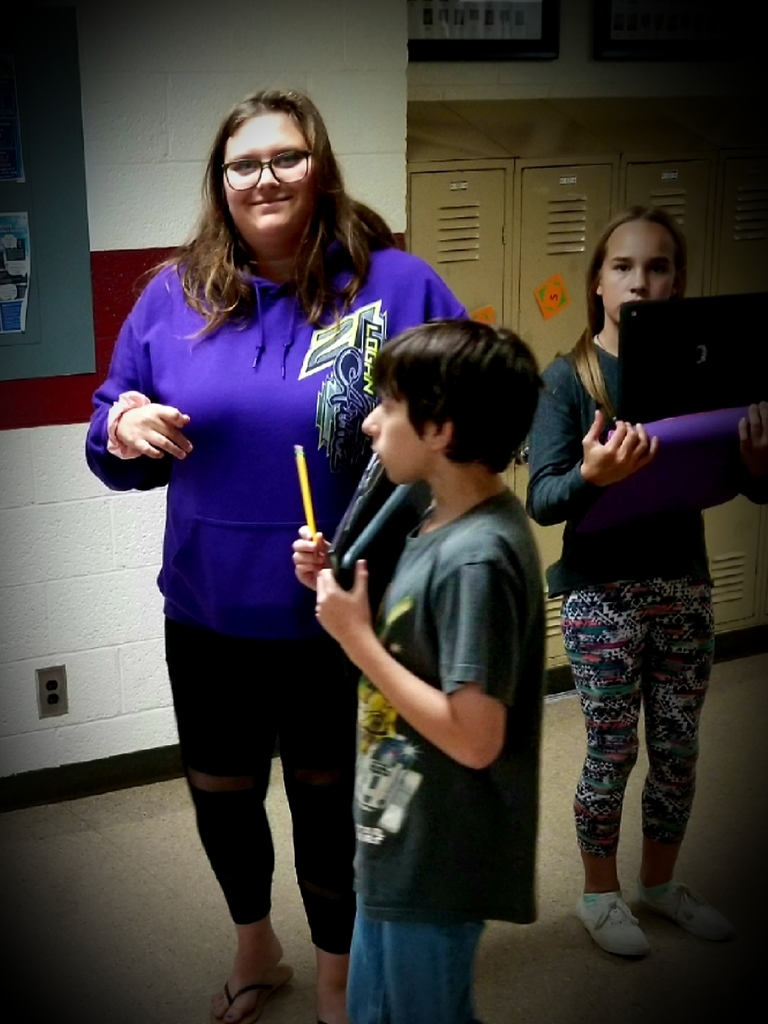 Peer to Peer mentoring