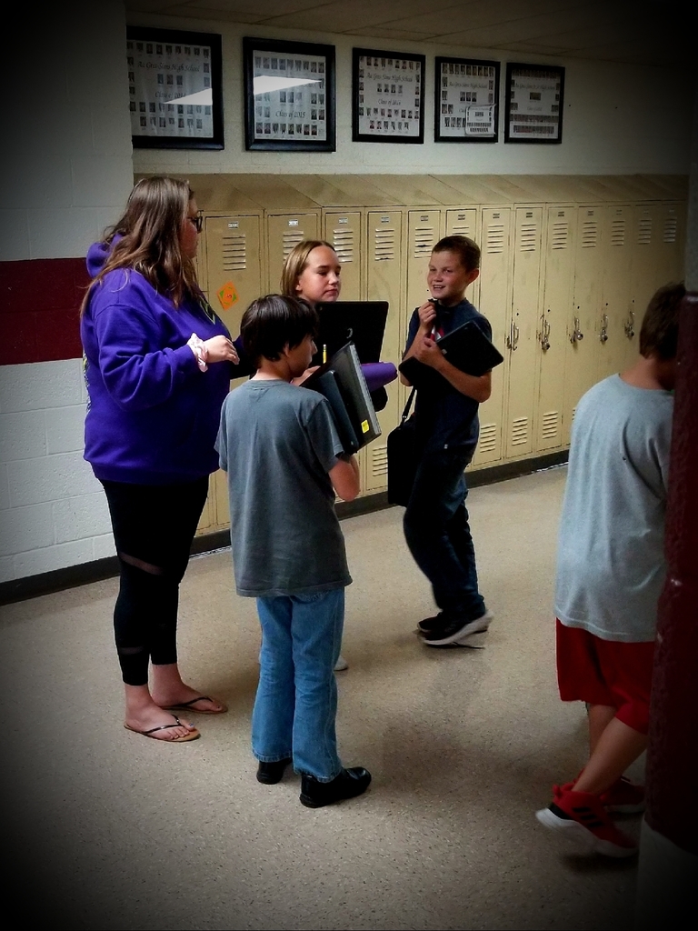 Peer to Peer mentoring