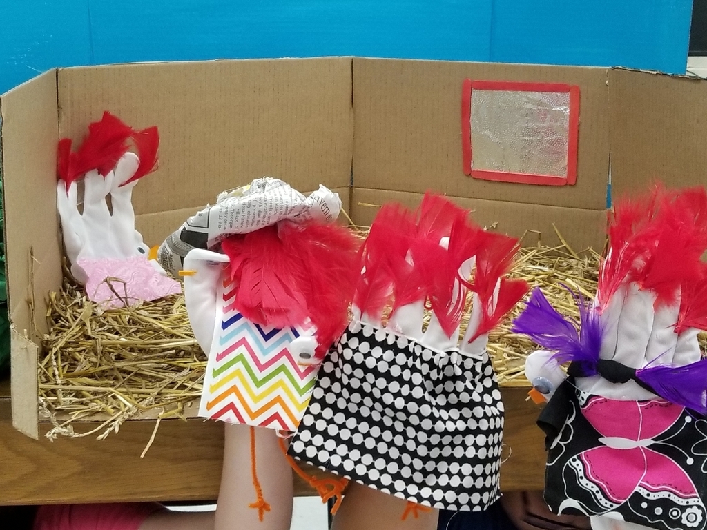 The hens are getting ready for their ball.