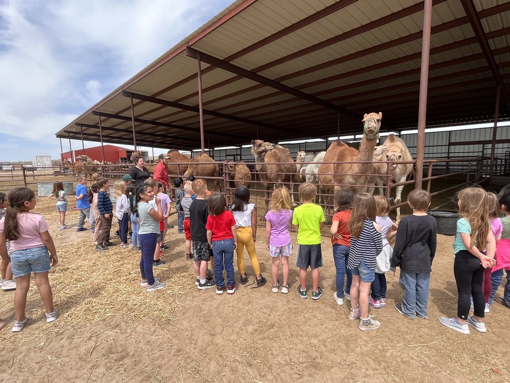 Field Trip