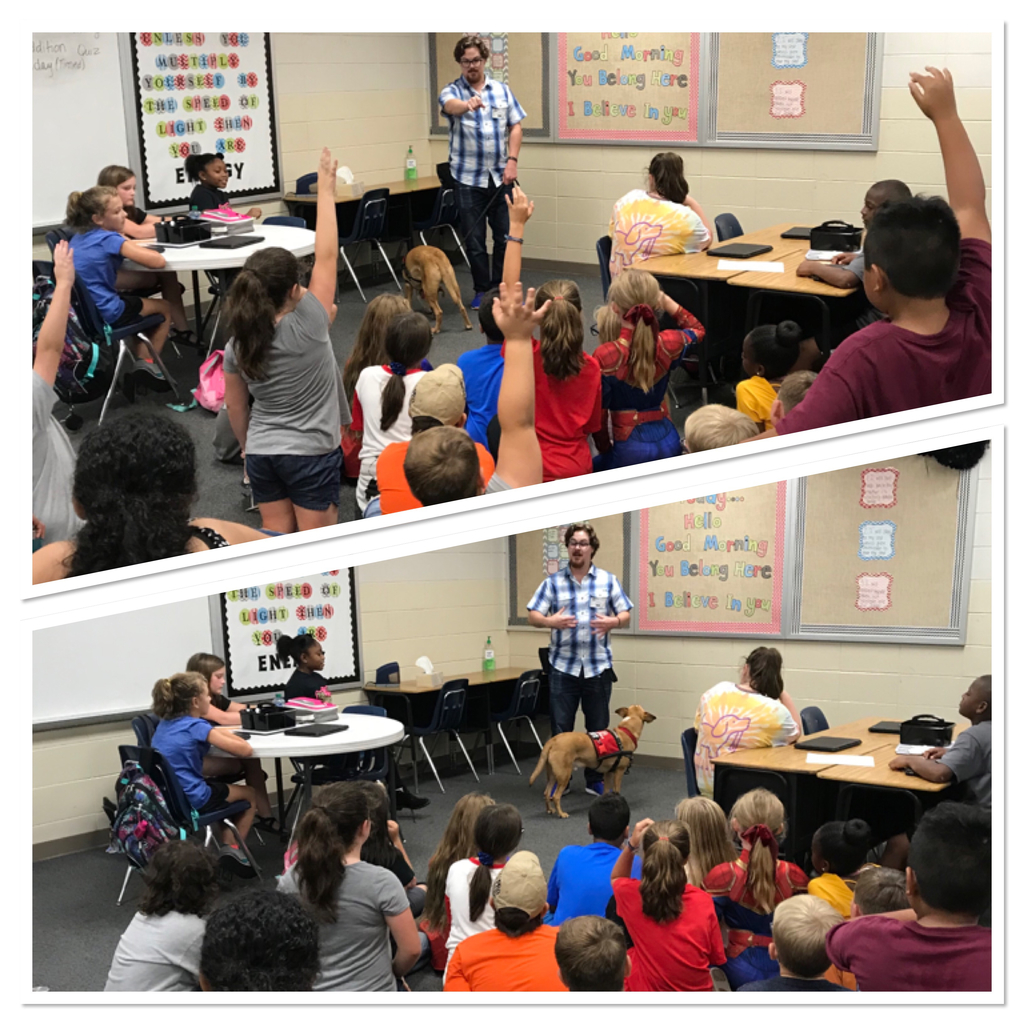 We learned all about service dogs