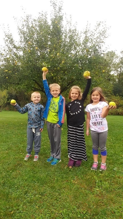 Great Apple Crunch Day