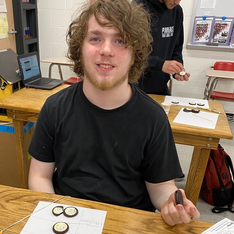 OREO Art and Science!