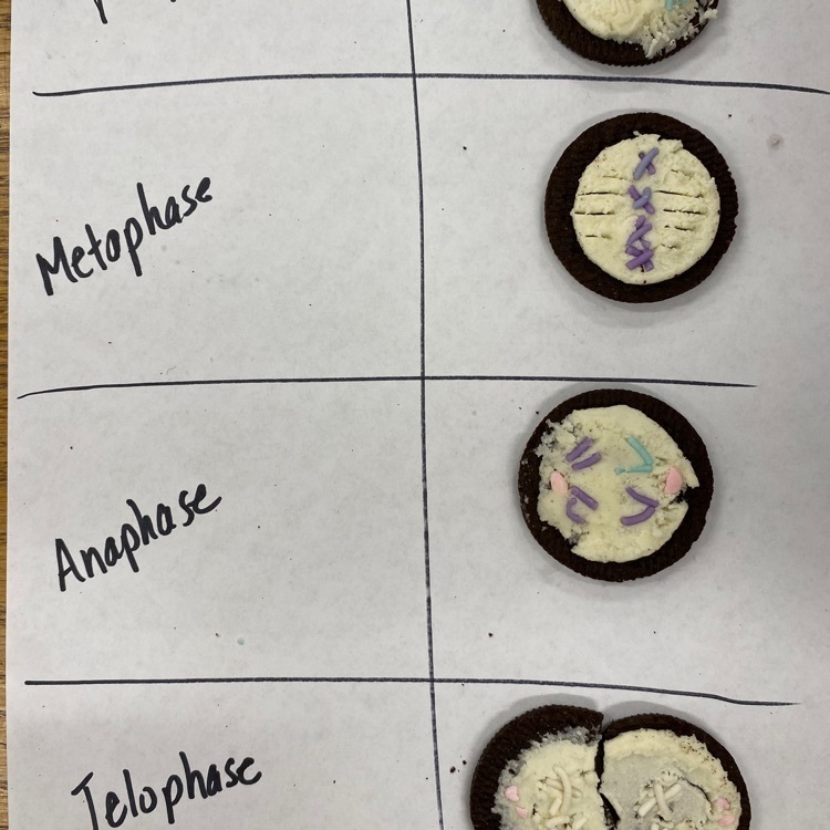 OREO Art and Science!  Yum!
