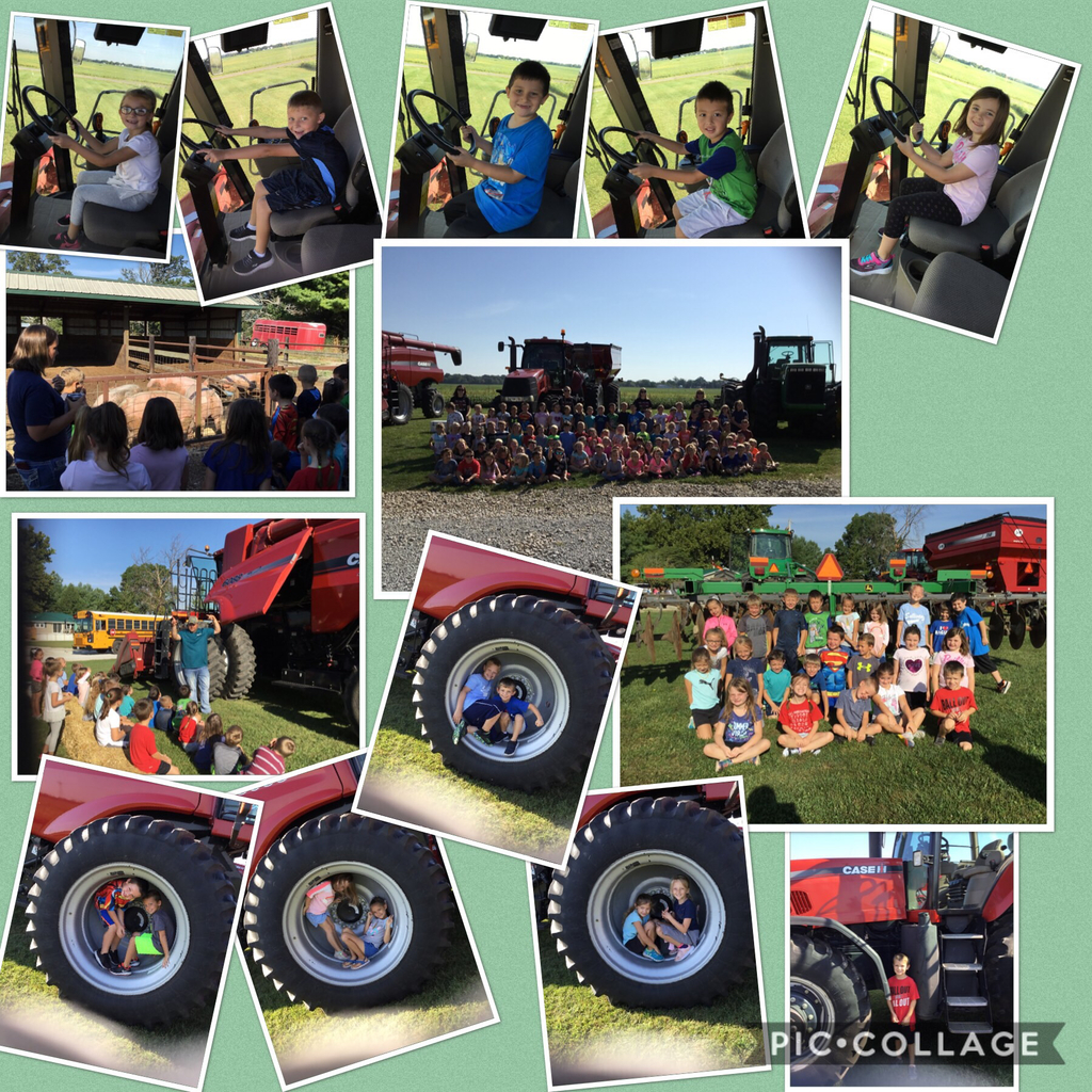 Farm fun