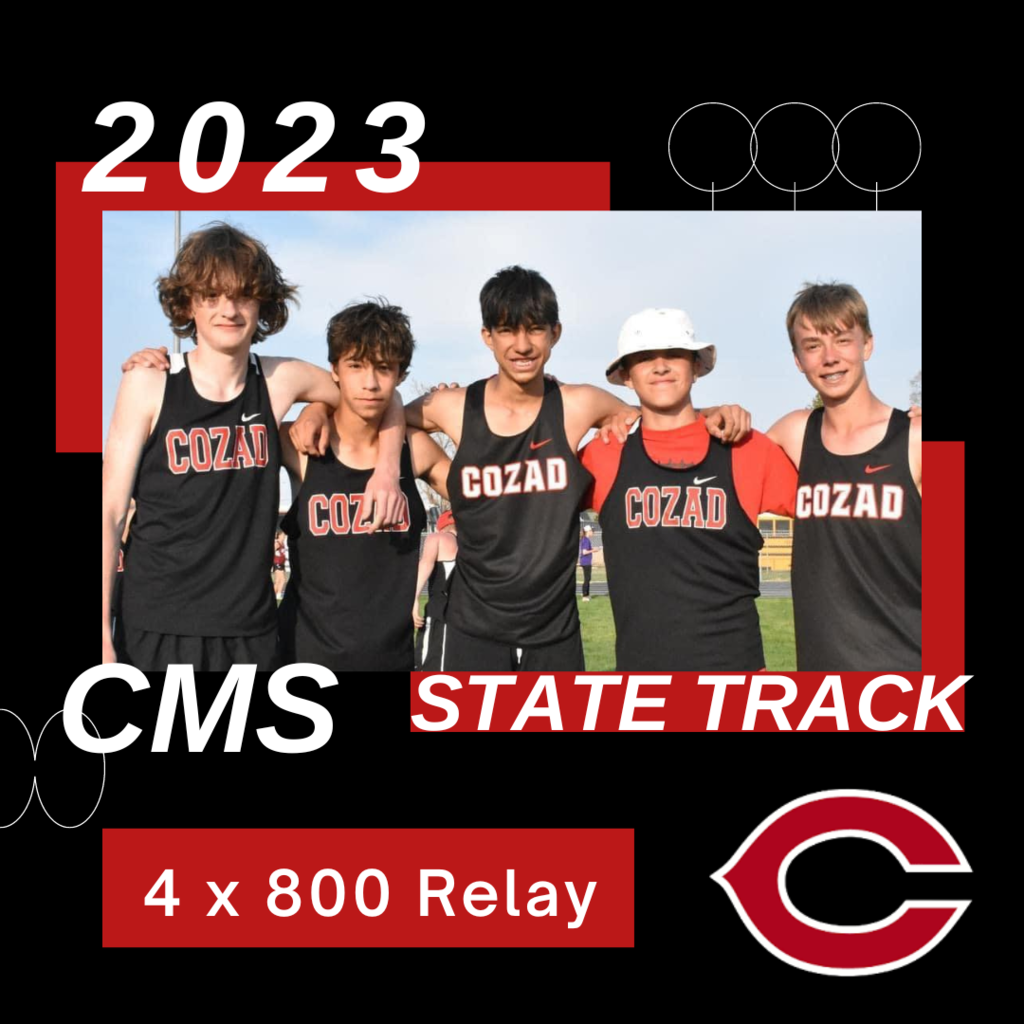CMS State Track Relay 4x800