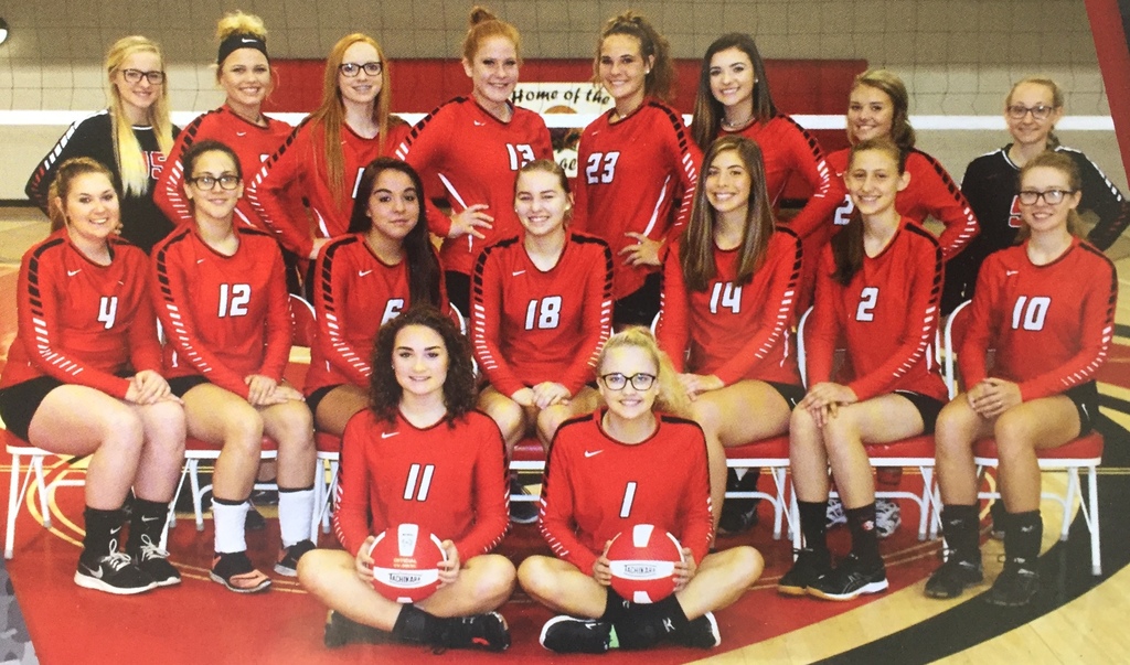 volleyball