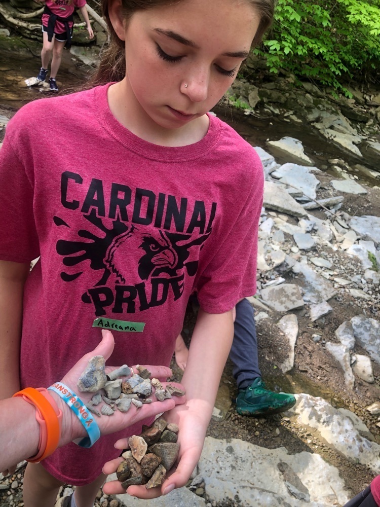 fossils fun
