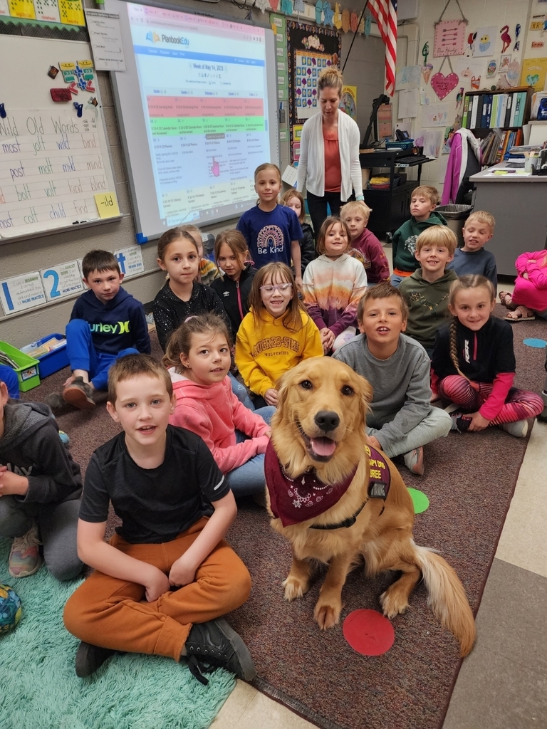 Bree (Therapy Dog in Training