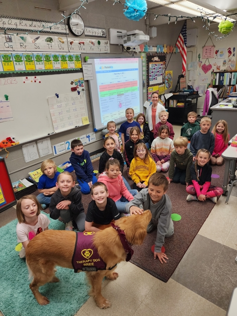 Bree (Therapy Dog in Training