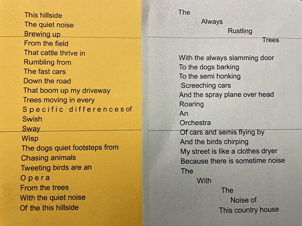 Congratulations to the fifth and sixth grade poets who were chosen for publication in the Creative Communication spring contest!
