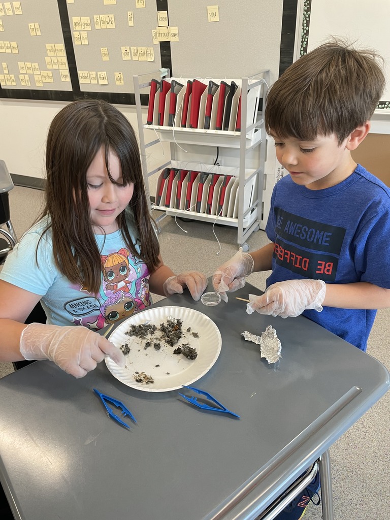 These young learners are excited about learning more about birds. 