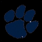 paw