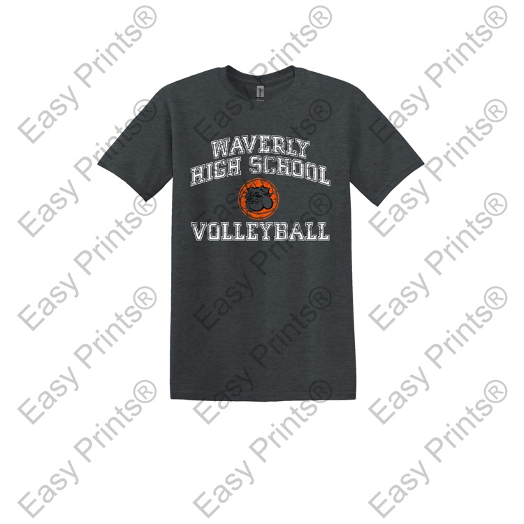 Lady Bulldog Volleyball