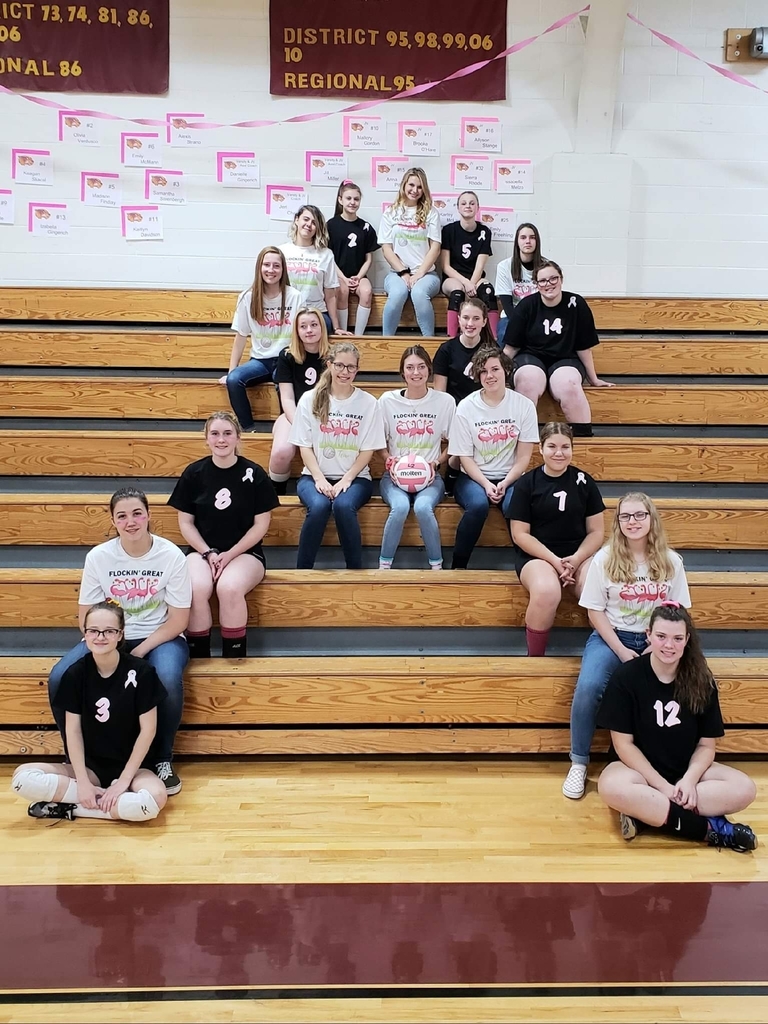 vb