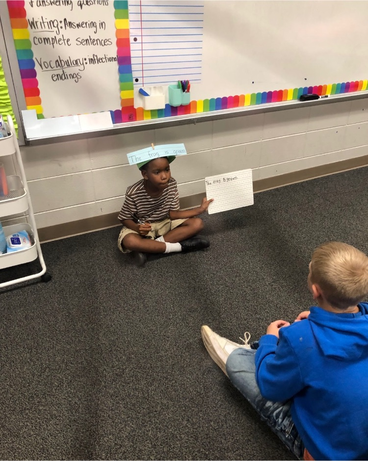 sentence practice d