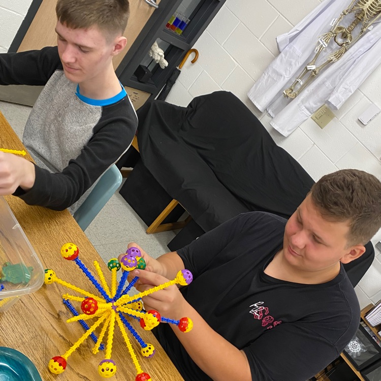 A new cell to combat Covid…