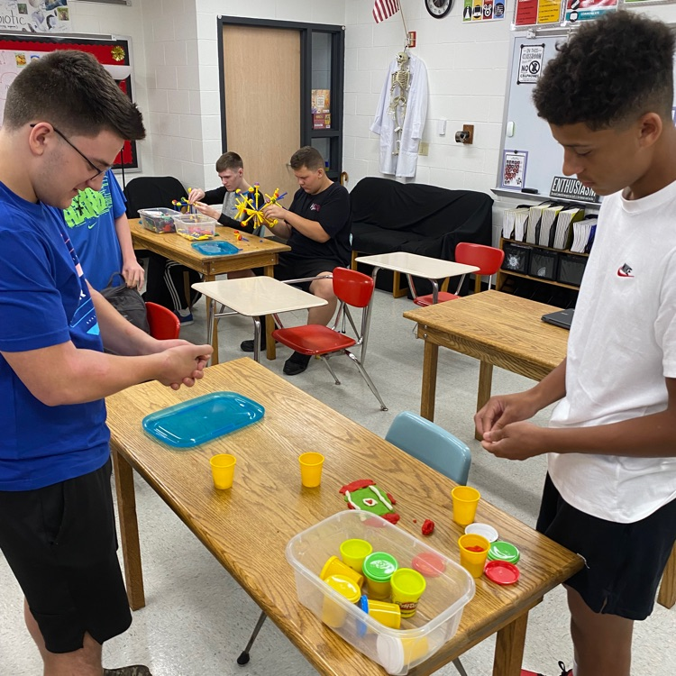 A new football field cover better than astroturf that will not need to be mowed!