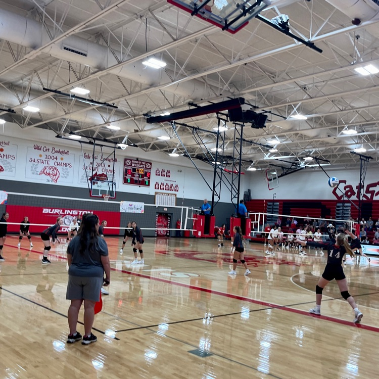 HSVB