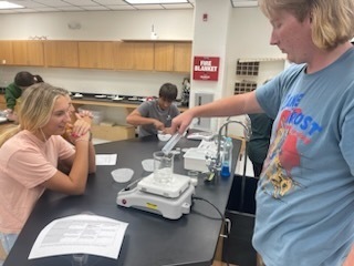 lab