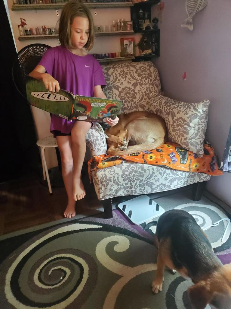 read to a pet