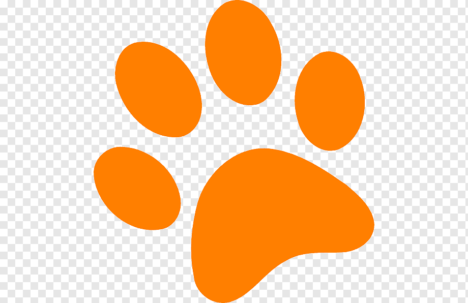 paw