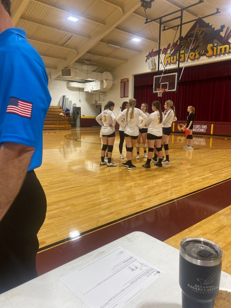 Lady Wolverines