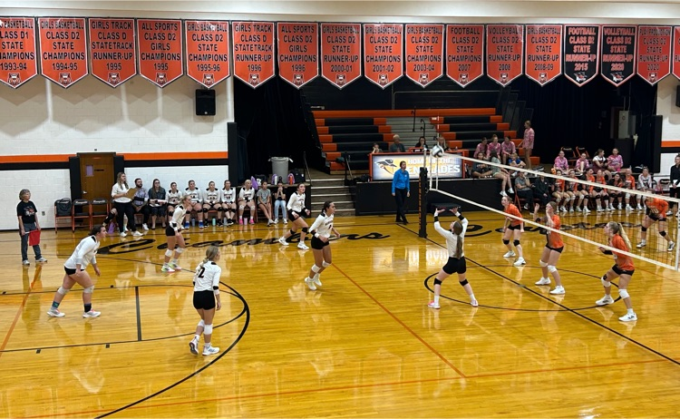 volleyball