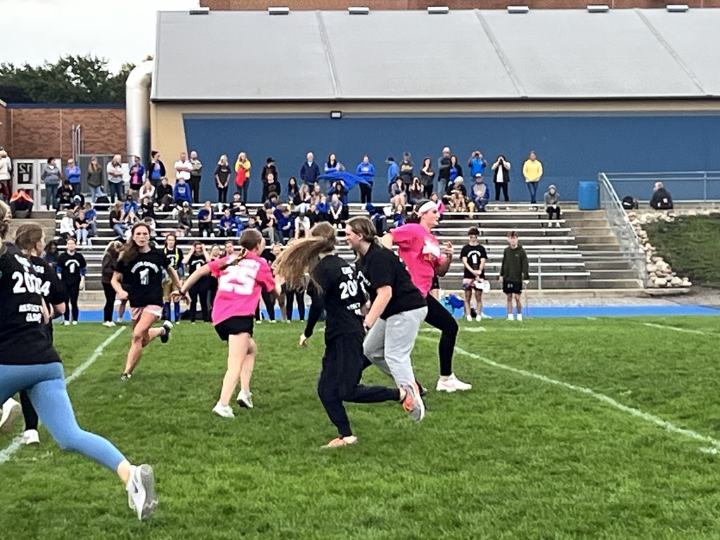 Powder puff