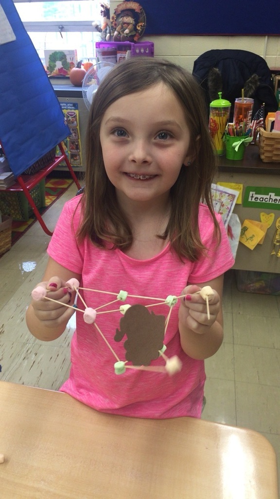 1st grade STEM activities