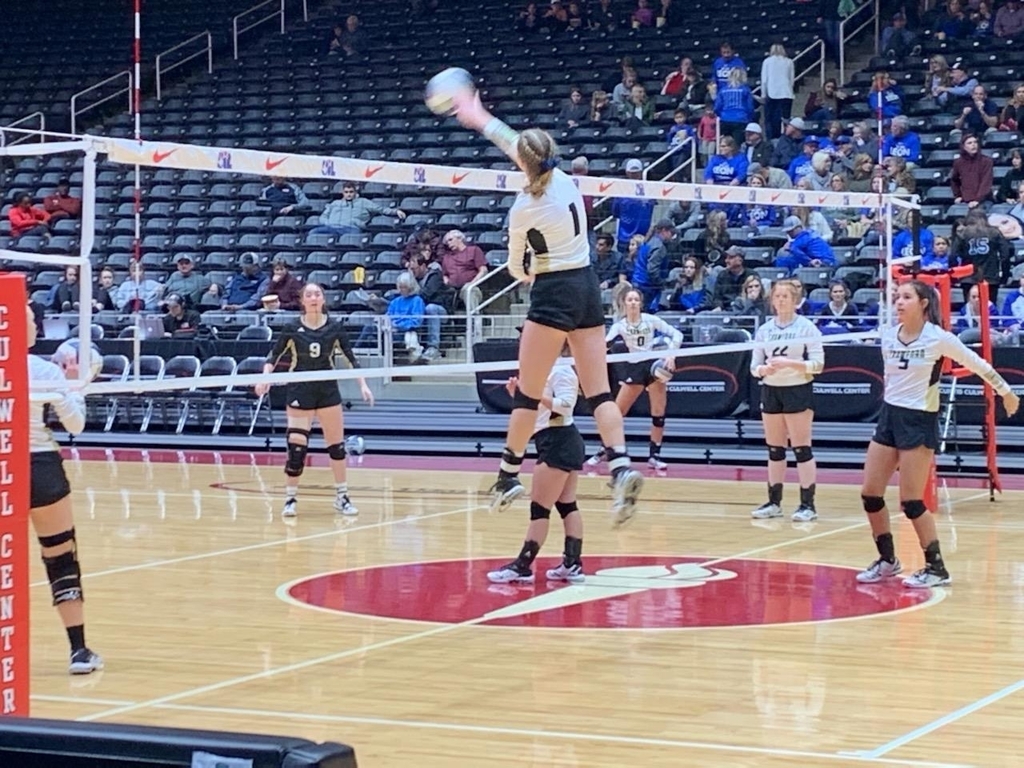 Lady Pirates