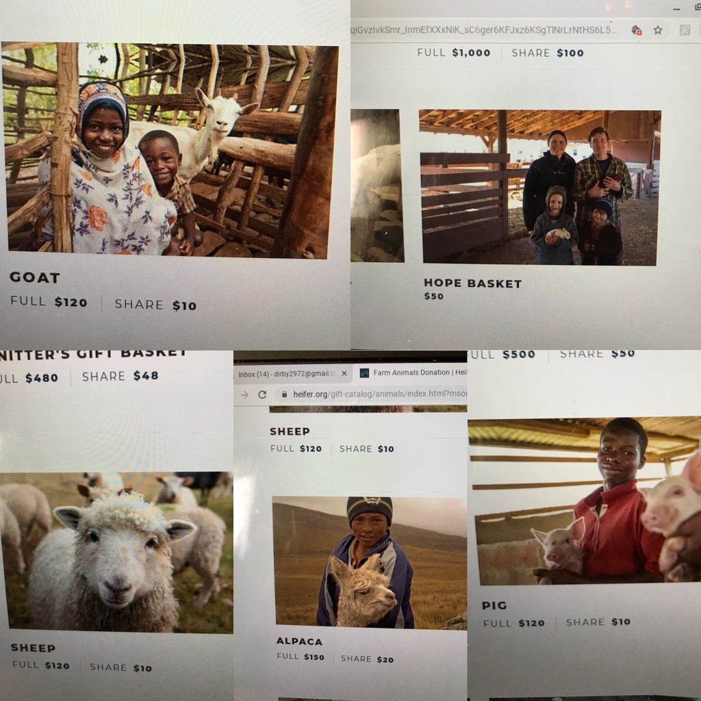 6th grade is happy to be participating in Heifer’s read to feed program today. We are reading all morning as a fundraiser. We donated a Hope Basket, a share of a goat, pig, sheep, and alpaca, for a total of $120. Our donation will be matched, as well.