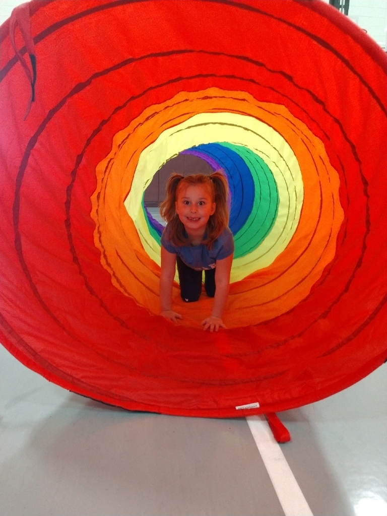 Who said fitness wasn't fun? These wolverines are having a blast playing Fitness Monopoly!