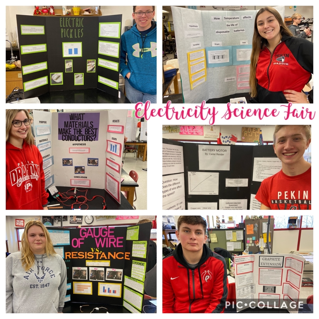 Physic 1/2 Electricity Science Fair projects 2019