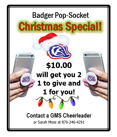 Badger Pop-Socket flyer