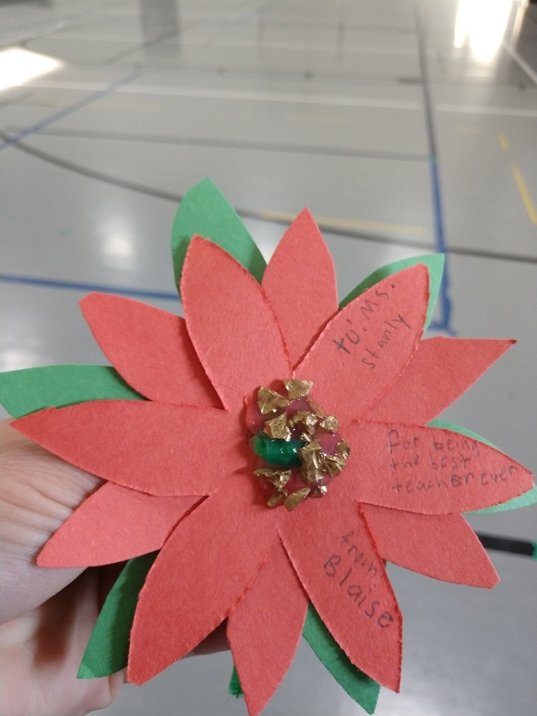 Some amazing 3rd grader made my day and added holiday cheer to the gym décor!
