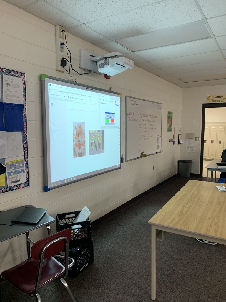 #inspiredBySquirrels