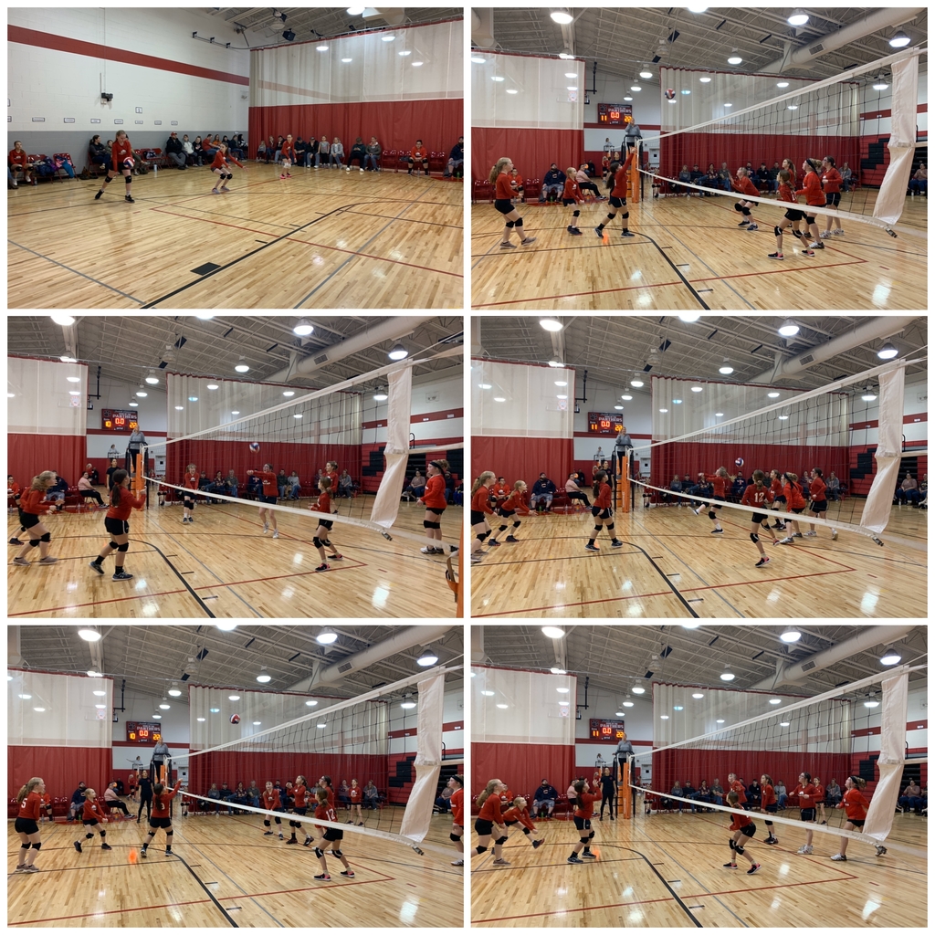 Volleyball 