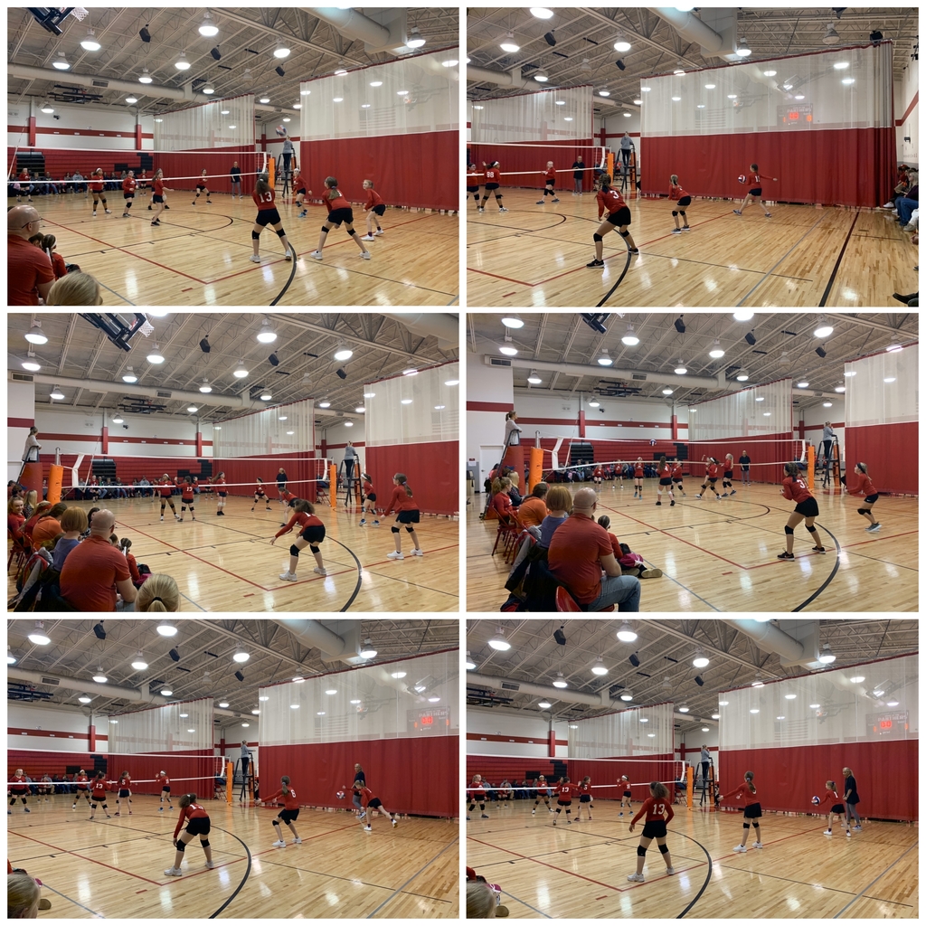 Volleyball 