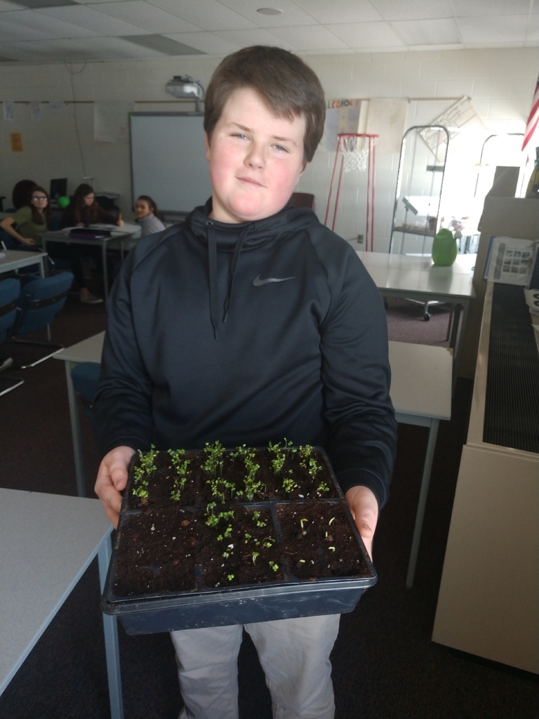 The 7th grade health students are excited to share that we have our first sprouts in our classroom garden!