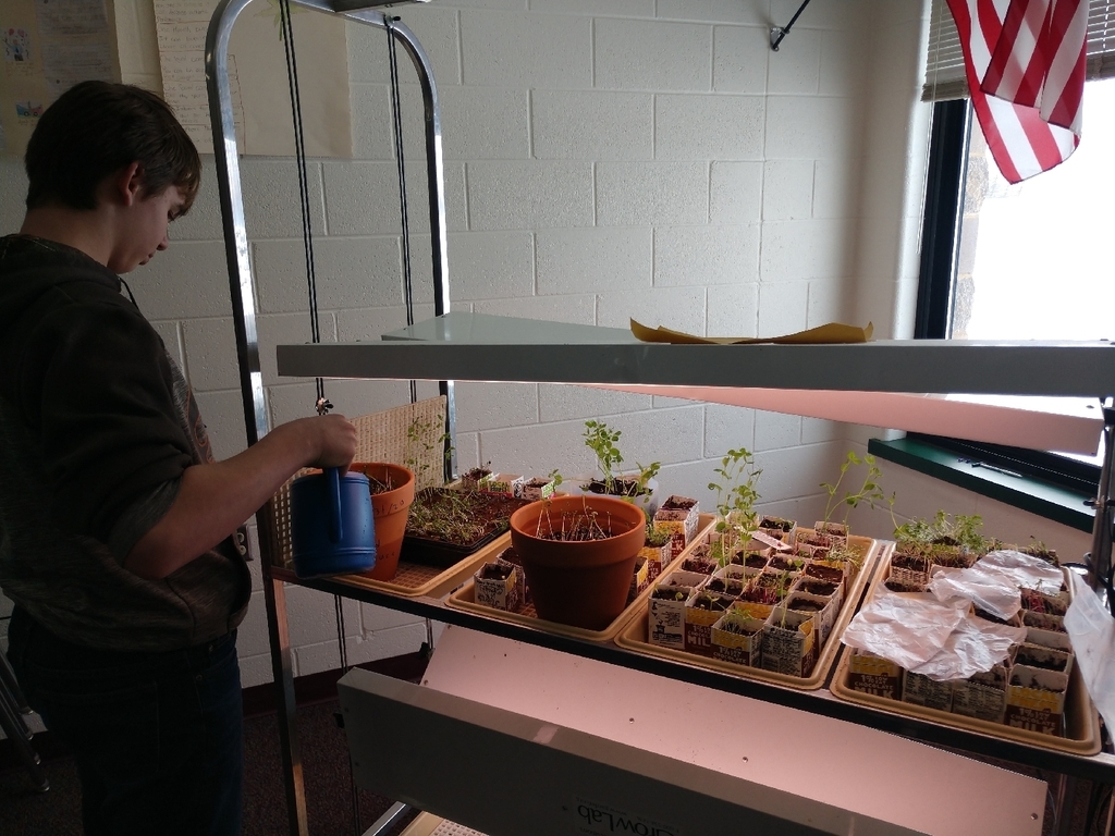 Our garden continues to grow in 7th grade health! We transplanted our first plant into a bigger container and fired up the grow lights today!🌱