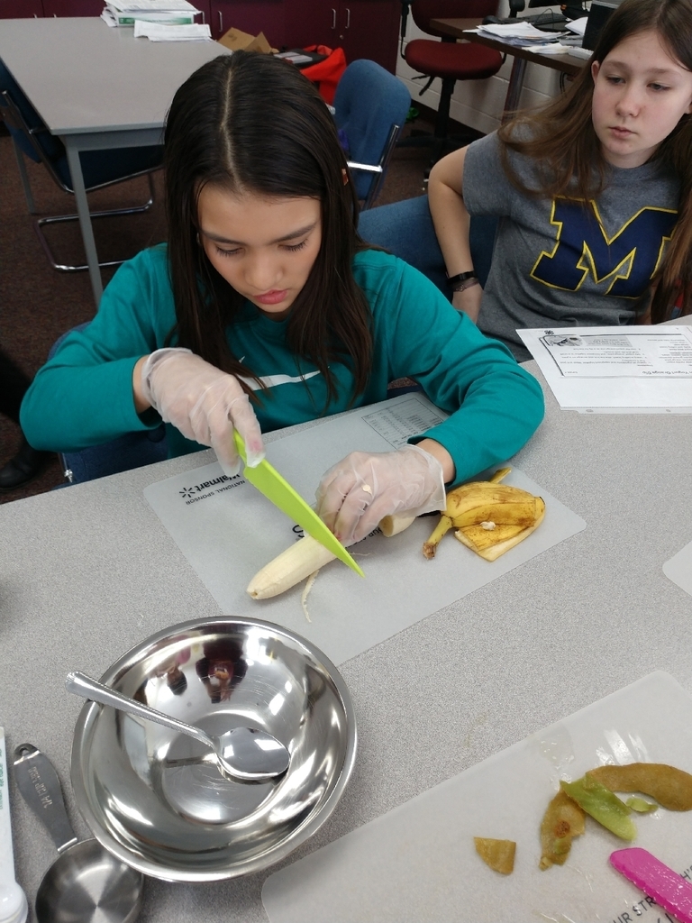 Mrs. Stanley's 7th grade health class had their first cooking lesson with MSU extension today. Students learned about following directions, measurement, knife safety and nutrition. Today's recipe was fruit salad.