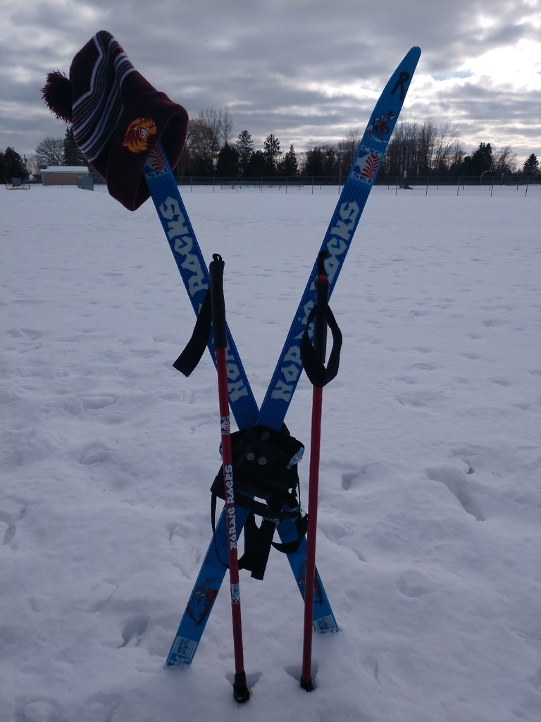 Soooo, the new PE unit starting next week is CROSS COUNTRY SKIING! I am very excited to announce that Nordic Rocks for Schools Program has gifted AGS cross country ski equipment and the curriculum that goes with the program! 