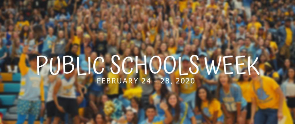 Public Schools Week