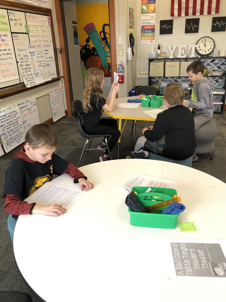 3rd grade TAG ELA students