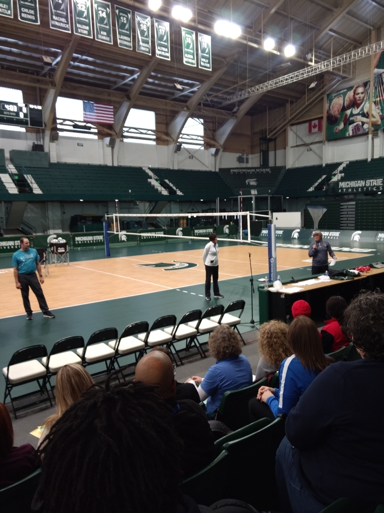 msu